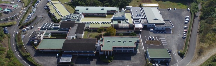 恵の聖母の家　外観_上空から