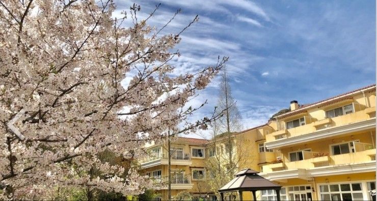 西野病院の求人画像