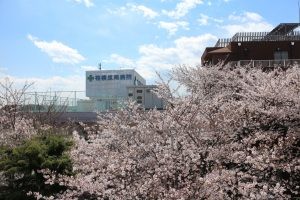 相模原南病院 のイメージ画像