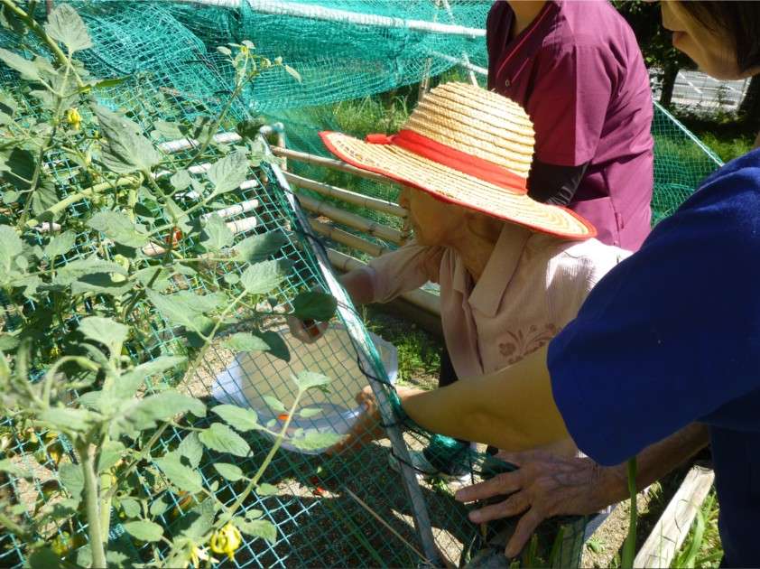 豊川老人保健施設　ケアリゾートオリーブ のイメージ画像