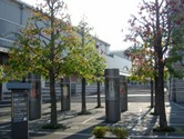家族の家ひまわり与野 のイメージ画像