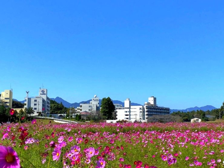 小山田特別養護老人ホーム のイメージ画像