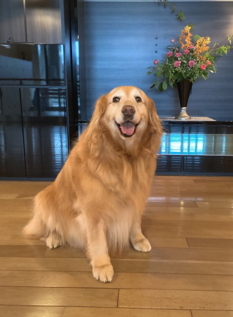 特別養護老人ホーム　やわらぎの郷 のイメージ画像