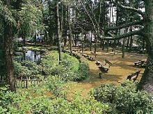 初石病院　庭