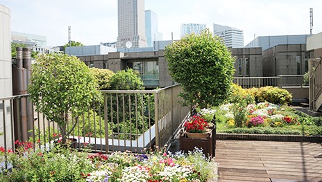 ハイメディックレジデンスザ・ガーデン南平台 のイメージ画像