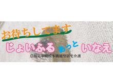 特定非営利活動法人ホームスイートホーム　じょいふるあいしょう の求人_イメージ画像