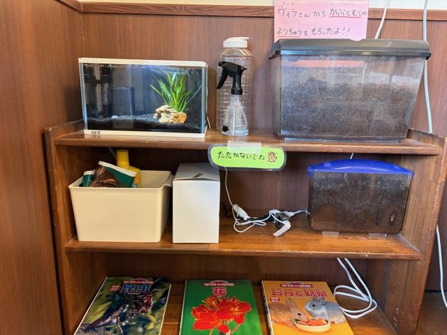 毎日ここで生き物の様子を観察しています