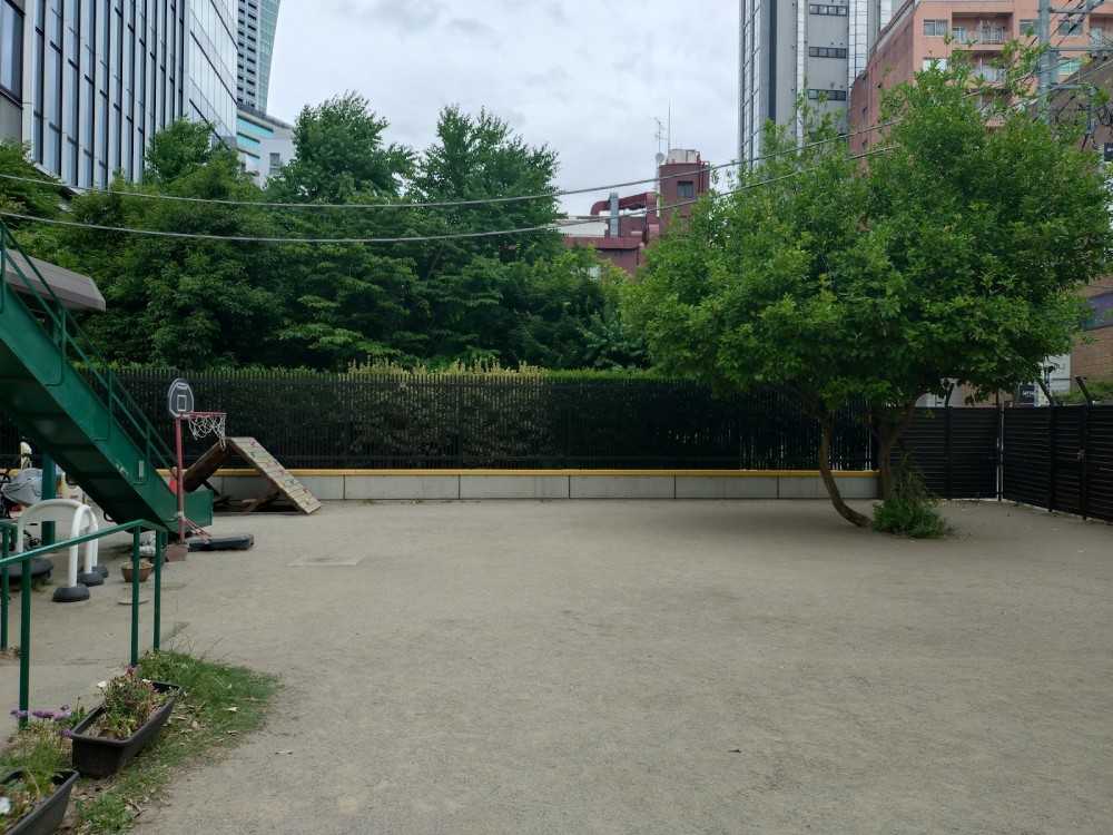 渋谷区ですが、広い園庭があります