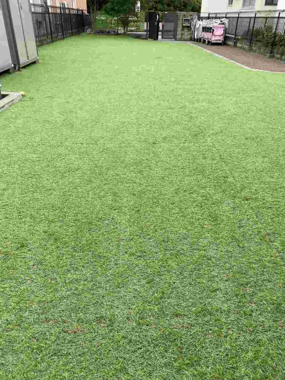 園庭には人工芝が一面敷かれ，裸足でも遊べる カリキュラムが充実しています
