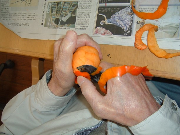 なごみ荘ケアマネジメントサービス のイメージ画像