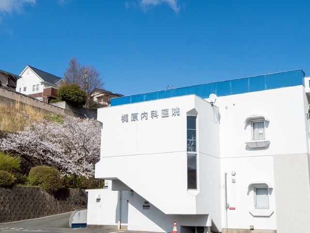 梶原内科医院　指定ケアプランサービス の求人_イメージ画像
