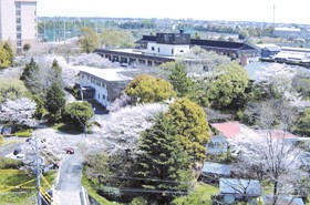 浜松十字の園 の介護支援専門員（ケアマネージャー） 求人_イメージ画像