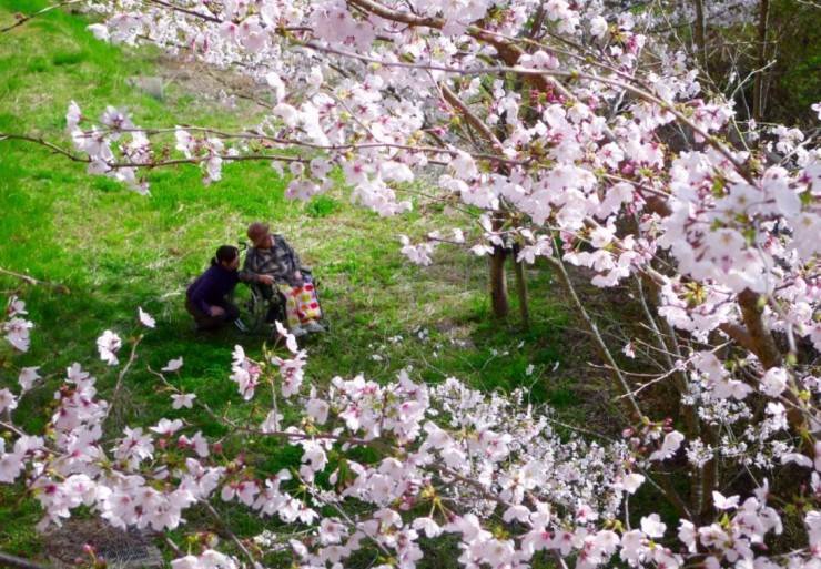 晃の園 のイメージ画像
