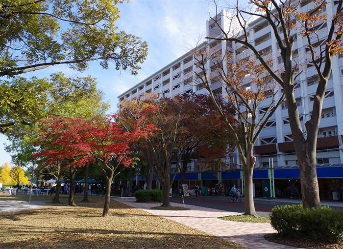 多摩市中部地域包括支援センター のイメージ画像