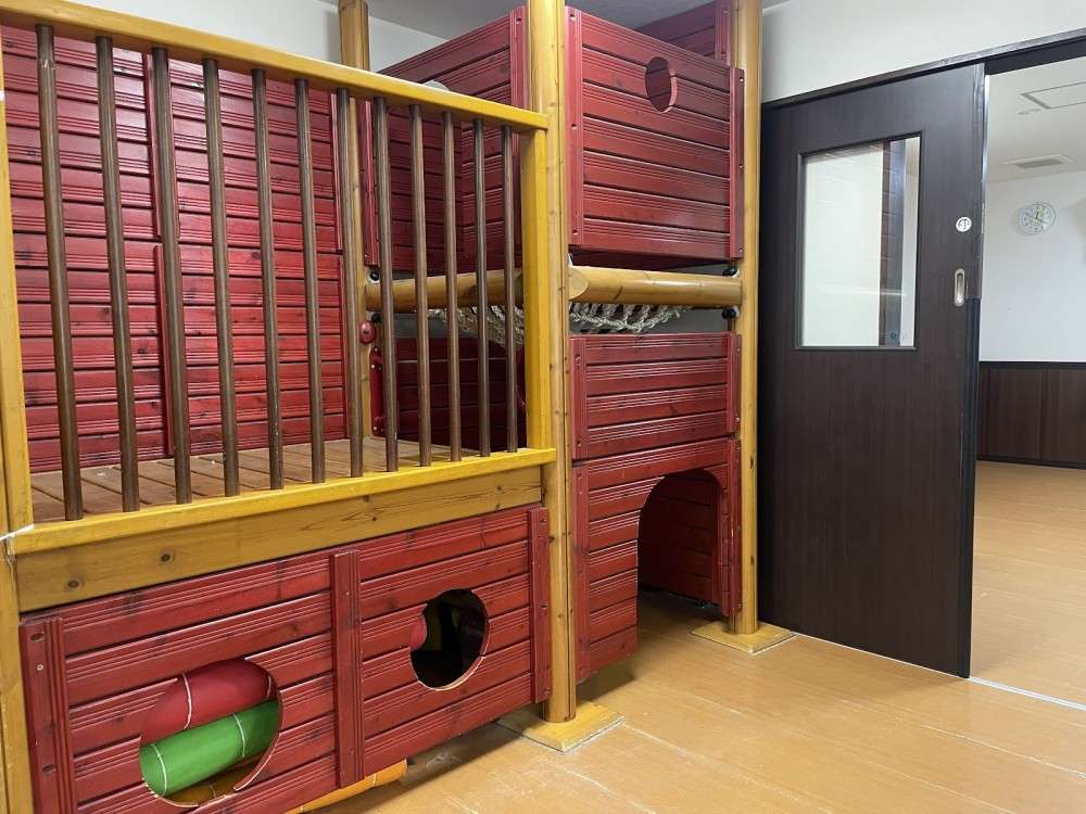 まなびの森小杉もりのこ保育園　内観2