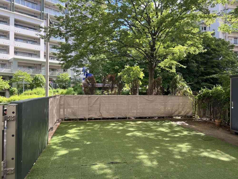 遊びスペースになったり、水遊び場になったり、青空給食の場になったり様々な用途によって子どもたちのお気に入りの場所