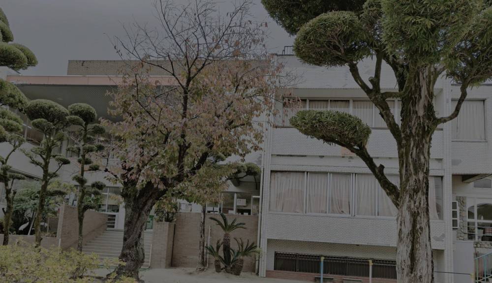 IMG_20251126_133145 (1)