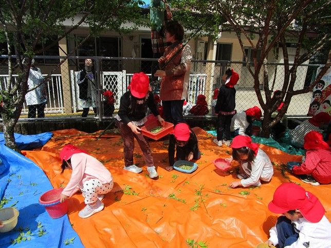 直純寺こども園_保育風景②