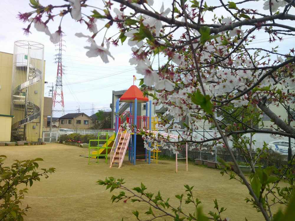 DSCF0185 (1)