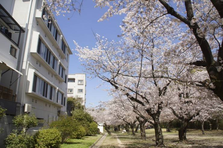 グループホームやすらぎ白島 の介護支援専門員（ケアマネージャー） 求人_イメージ画像