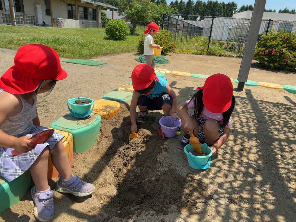 IMG_3816_-_コピー