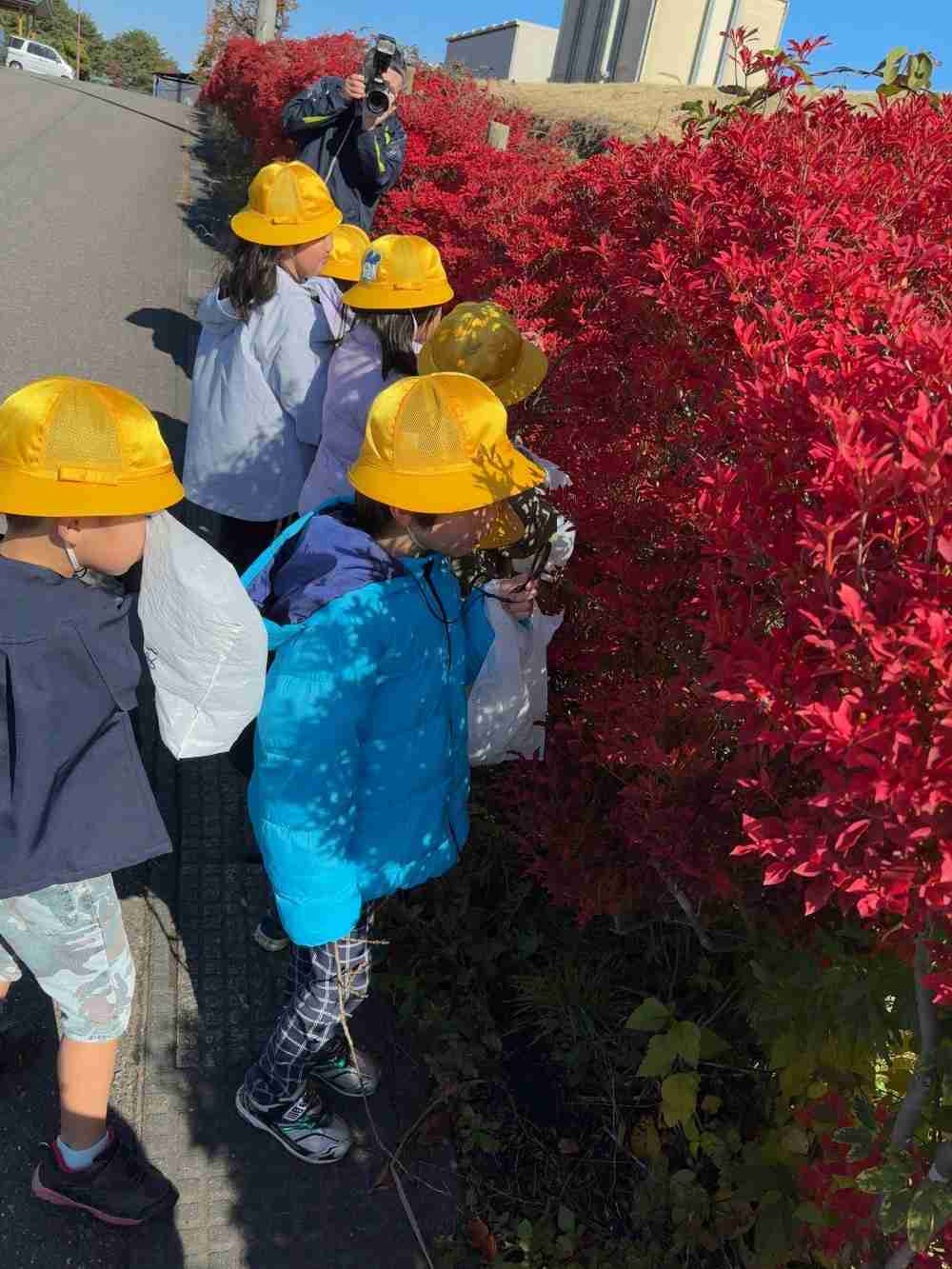 IMG_5742_-_コピー