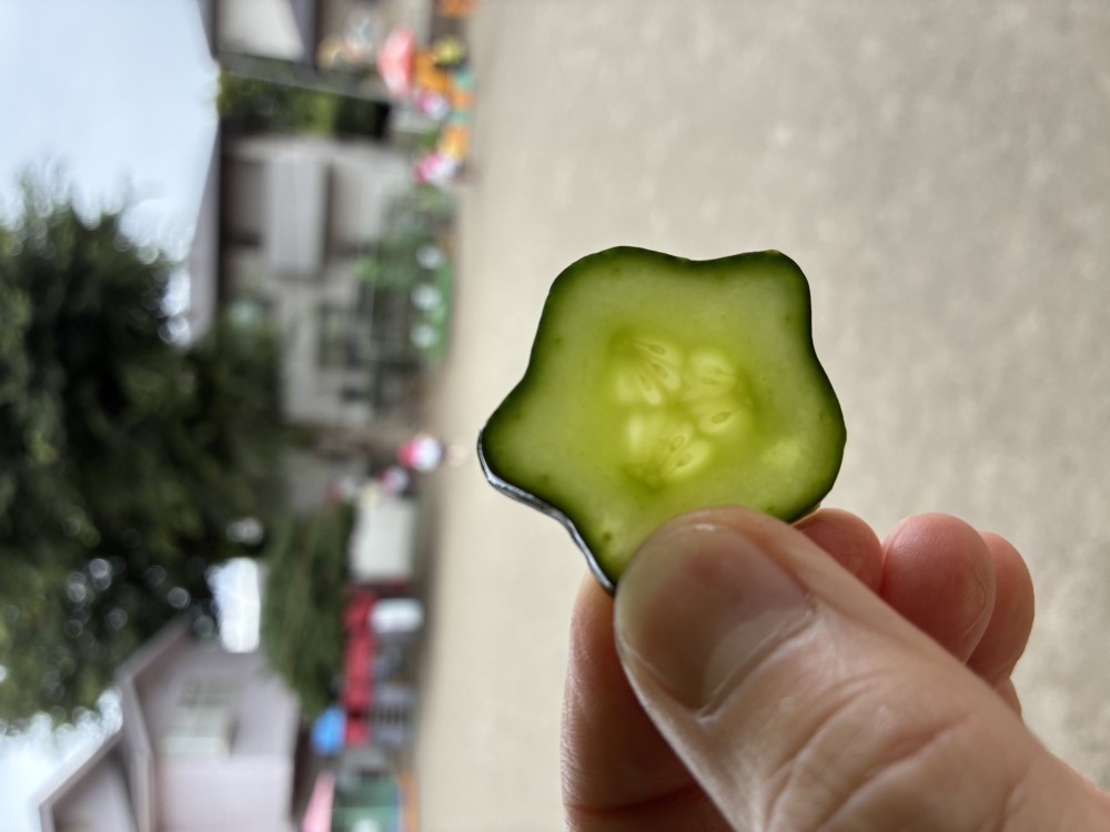 学校法人竹内学園 第一新座幼稚園_保育風景1
