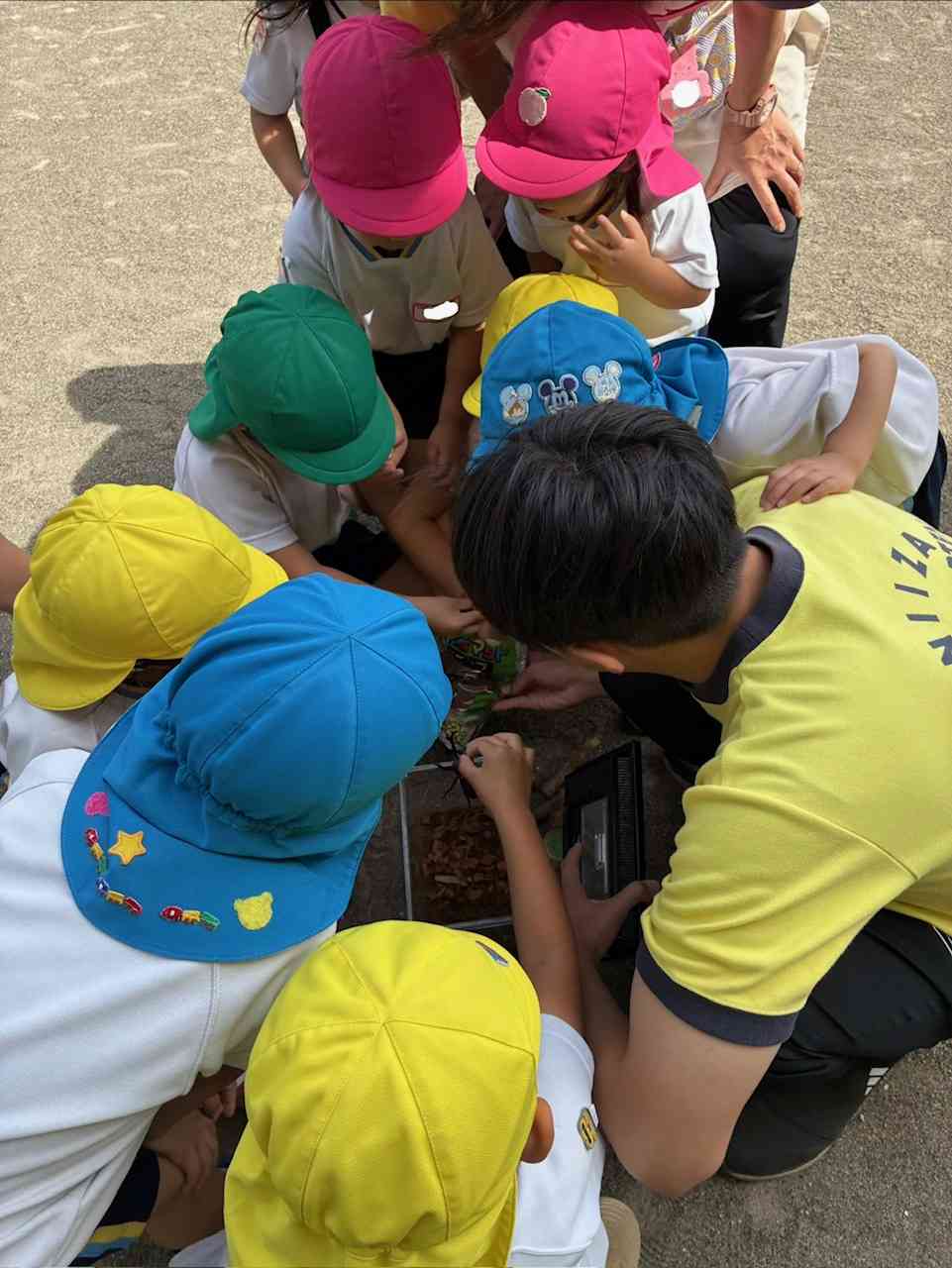 学校法人竹内学園 第一新座幼稚園_保育風景2