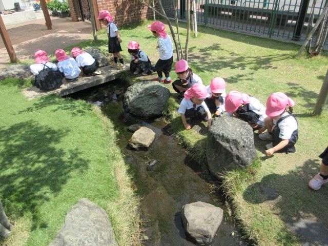 くにとう幼稚園_保育風景1