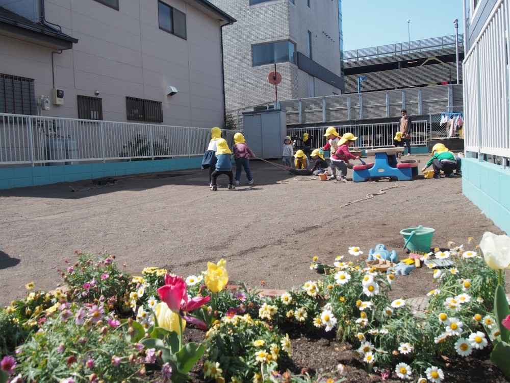まなびの森淵野辺わんぱく園　外観