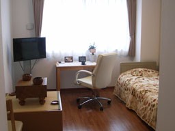 ニチイメゾン柴又 のイメージ画像