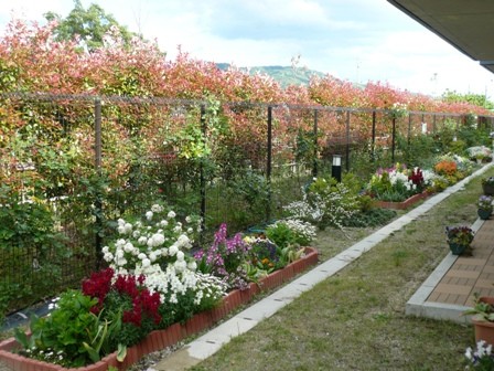 あそかビハーラ病院 のイメージ画像