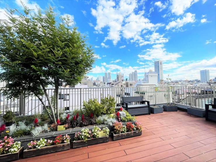 もみの樹・渋谷本町 のイメージ画像