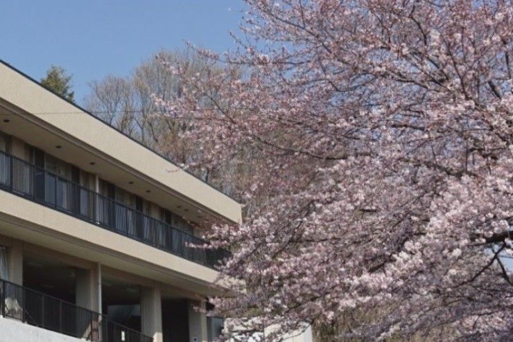 町田せりがやVILLAGE のイメージ画像