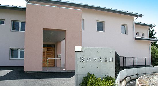 桜の実 のイメージ画像