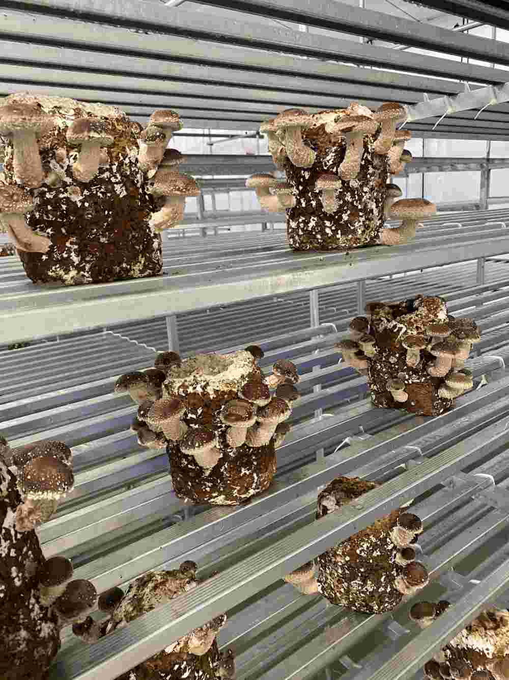 就労継続支援B型つなぐ のイメージ画像