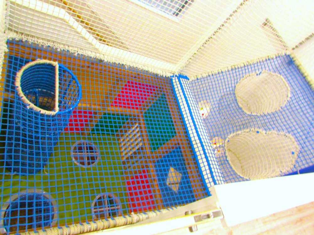 こどもの達から大人気の室内大型ネット遊具