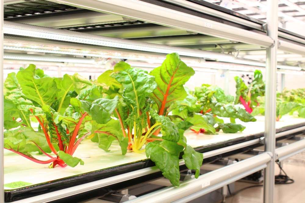 minalab. のサービス管理責任者 求人_イメージ画像