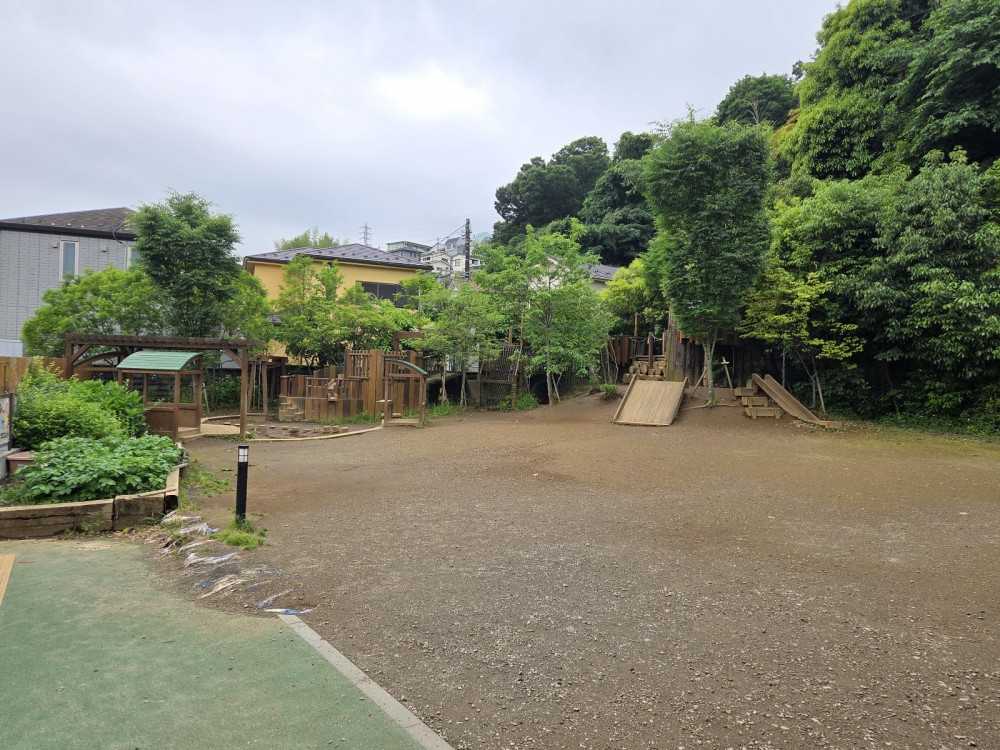 まなびの森星川こども園　園庭
