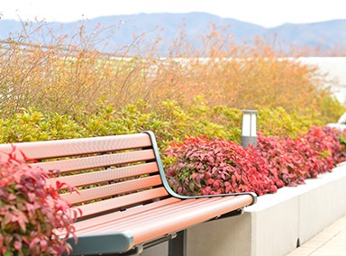 特別養護老人ホーム八戸ノ里向日葵 のイメージ画像