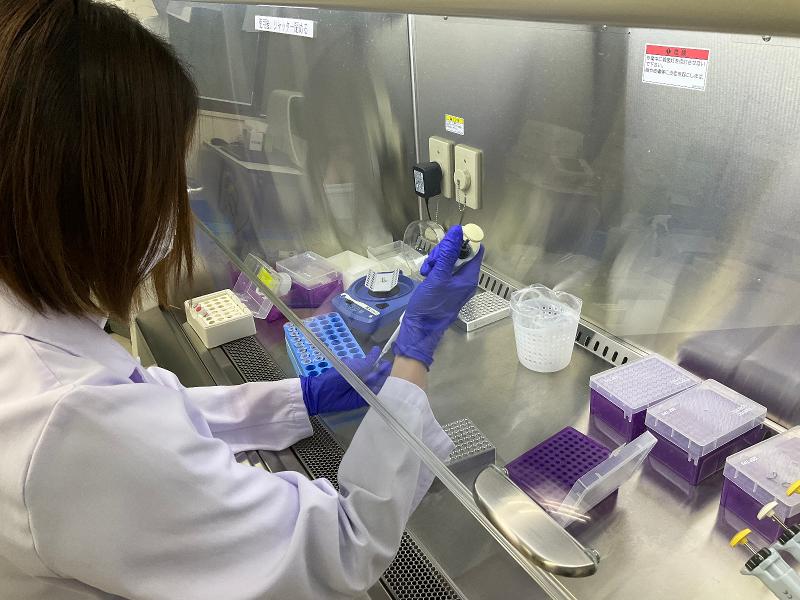 株式会社みらい