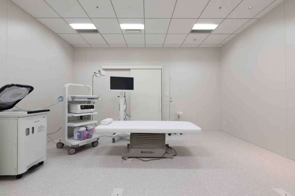 SPES_CLINIC_TOKYO_BAY_内視鏡jpg